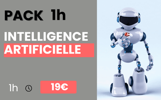 pack-1h- IA et immobilier